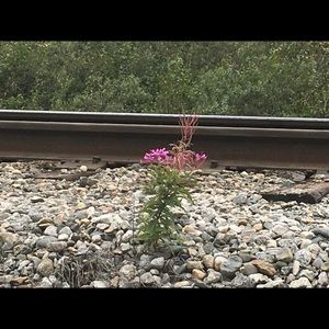 Meet your Posher, Denise